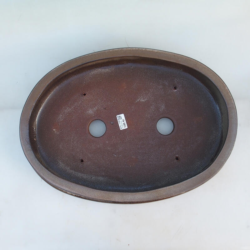 Bol bonsaï 51 x 36,5 x 10 cm, couleur marron - transport par palette uniquement