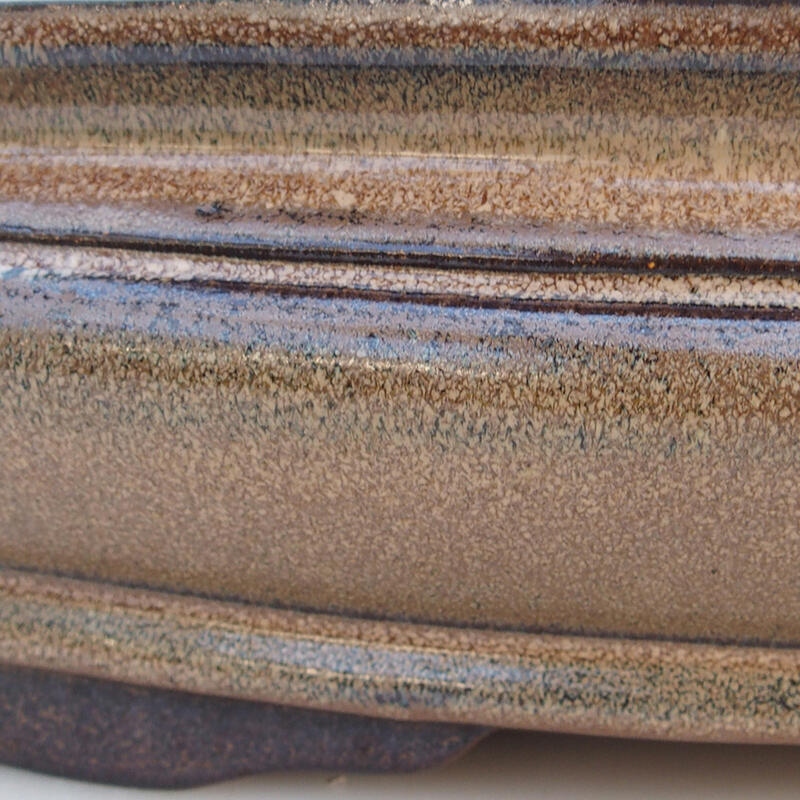 Bol bonsaï 51 x 36,5 x 10 cm, couleur marron - transport par palette uniquement