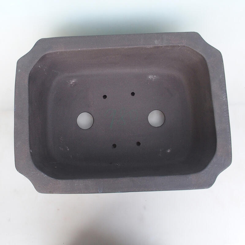 Bol pour bonsaï 51 x 38 x 15 cm, couleur naturelle