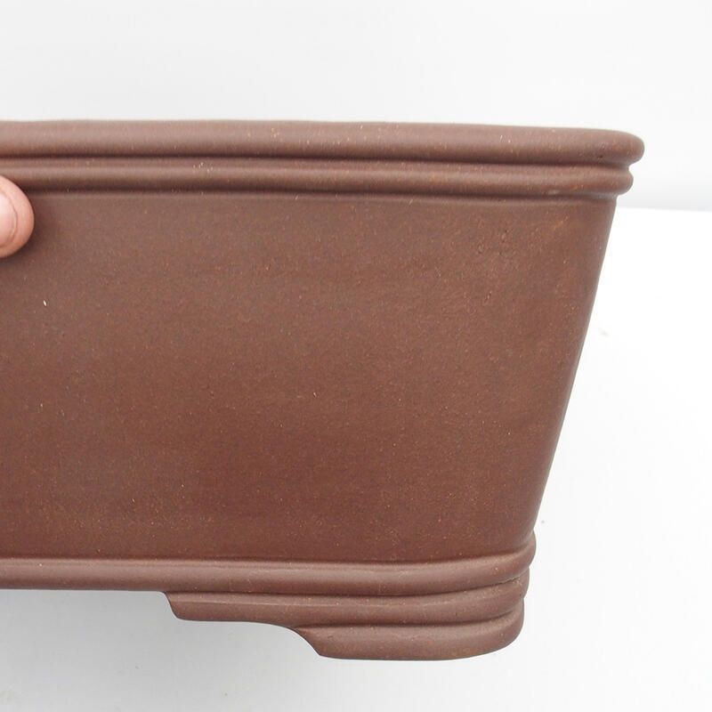 Bol pour bonsaï 52 x 52 x 16 cm - Qualité japonaise