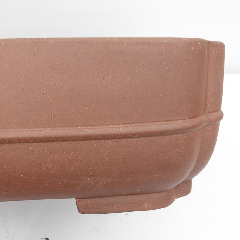 Bol pour bonsaï 57 x 45 x 15 cm - Qualité japonaise