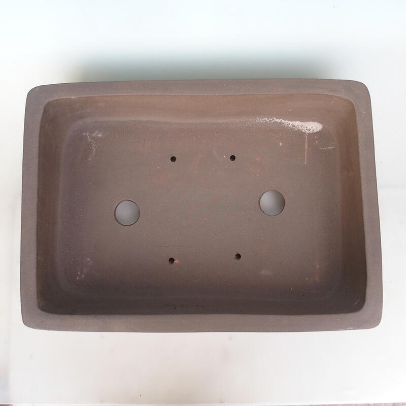 Bol pour bonsaï 60 x 43 x 13 cm, couleur naturelle