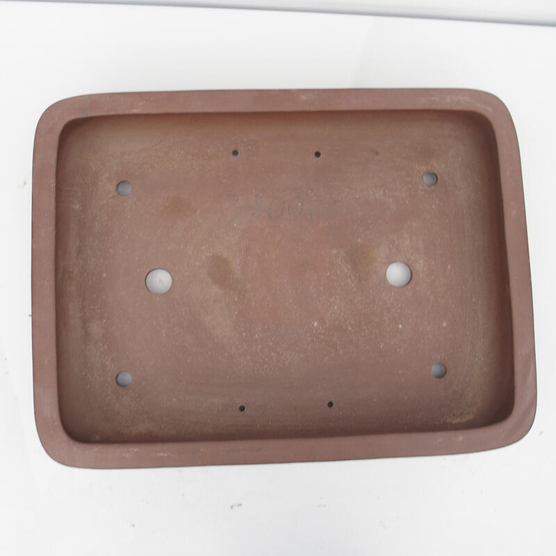 Bol pour bonsaï 60 x 45 x 12 cm - Qualité japonaise