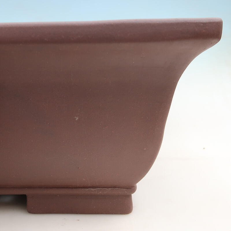 Coupe Bonsaï 60 x 46 x 19 cm, marron