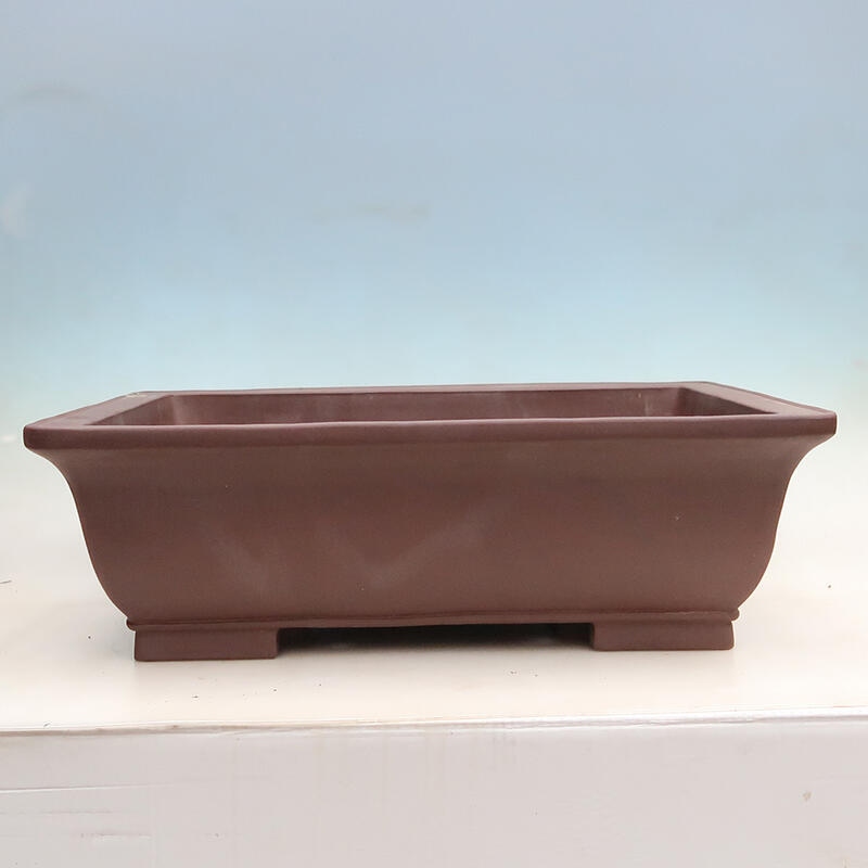 Coupe Bonsaï 60 x 46 x 19 cm, marron