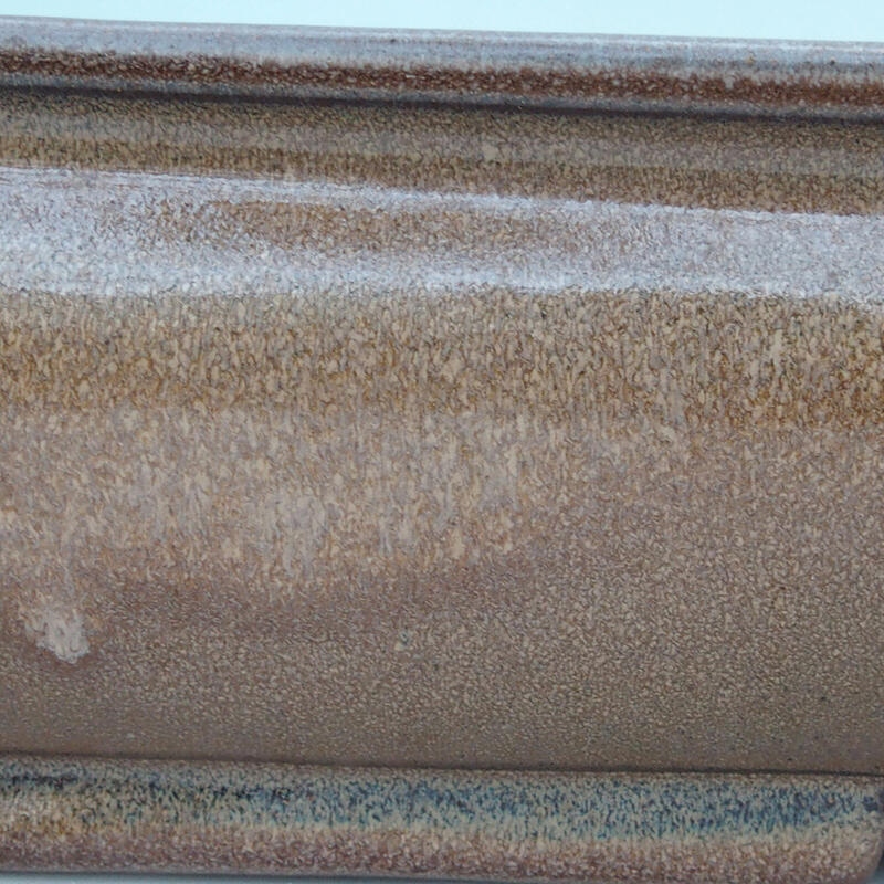 Bol bonsaï 61 x 41 x 11 cm, brun - transport par palette uniquement