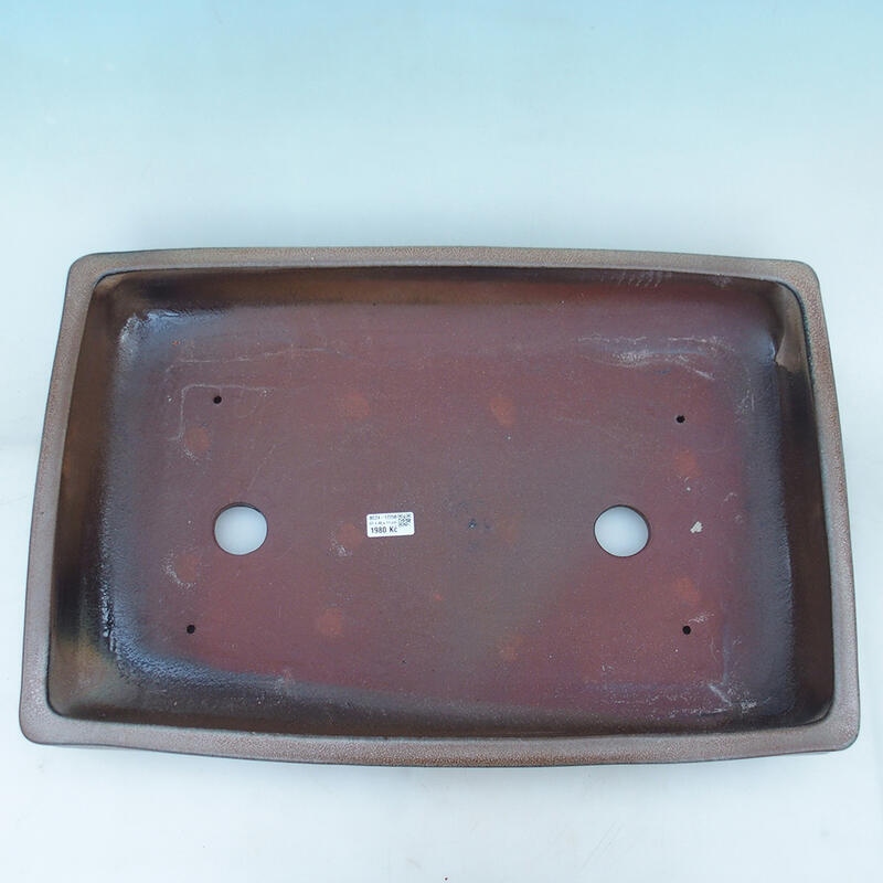 Bol bonsaï 61 x 41 x 11 cm, brun - transport par palette uniquement