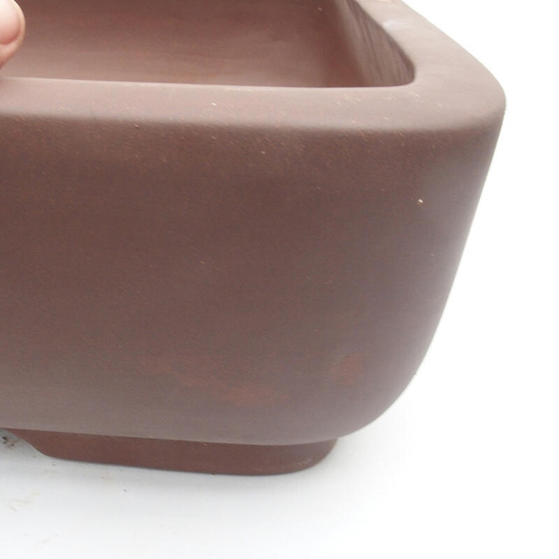 Bol pour bonsaï 64 x 50 x 16 cm - Qualité japonaise