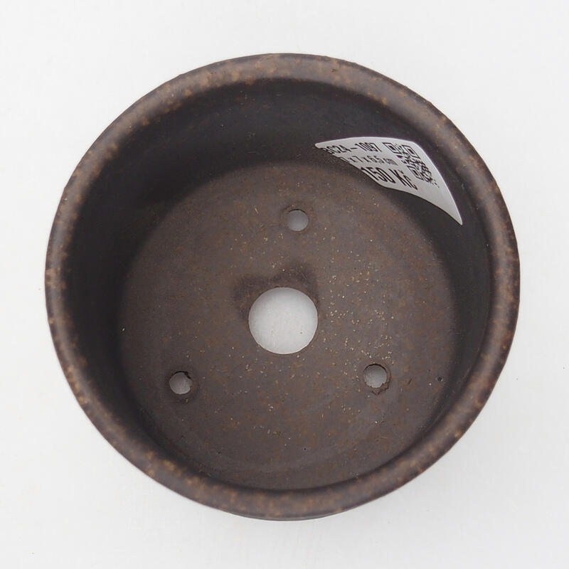 Coupe bonsaï 7,5 x 7,5 x 6,5 cm, couleur brun ocre