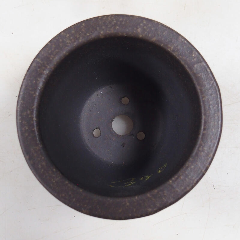 Coupe bonsaï 9,5 x 9,5 x 7,5 cm, couleur brun ocre