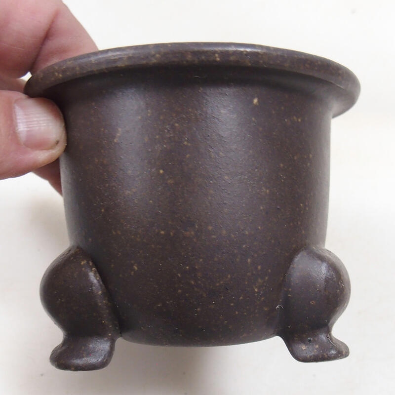 Coupe bonsaï 9,5 x 9,5 x 7,5 cm, couleur brun ocre