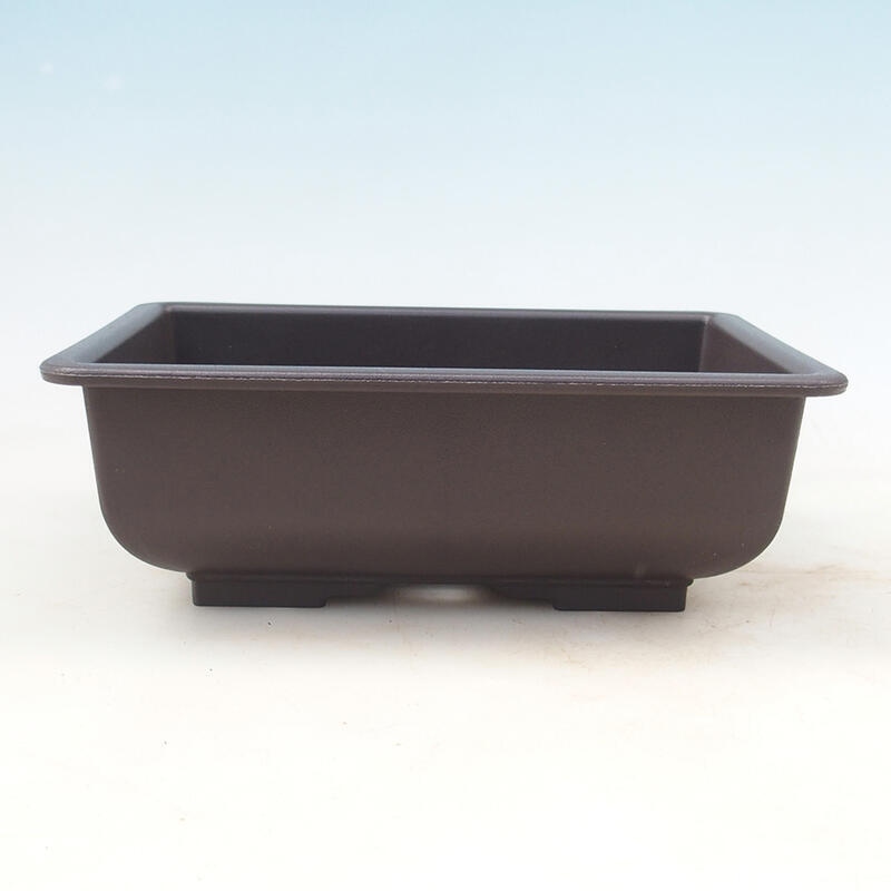 Bol à bonsaï en plastique MP-2vacl Marron - 21,5 x 15,5 x 7,5 cm
