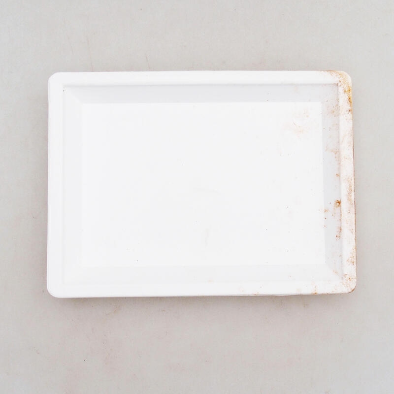 Plateau pour bonsaïs en plastique PP-1 blanc 15 x 11 x 1,8 cm