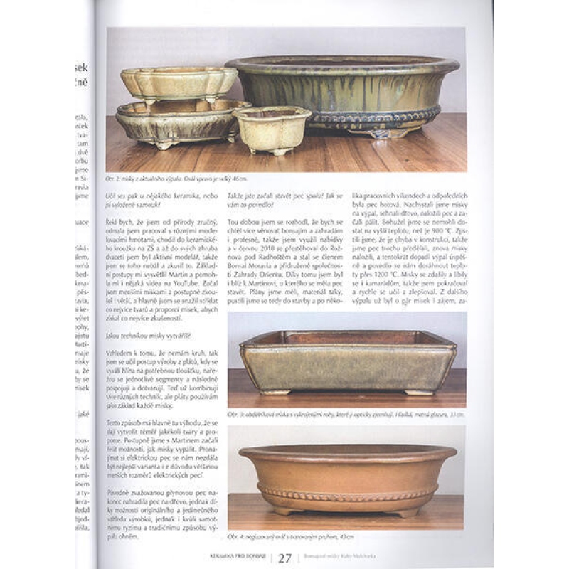 Bonsaïs et jardins japonais n° 63