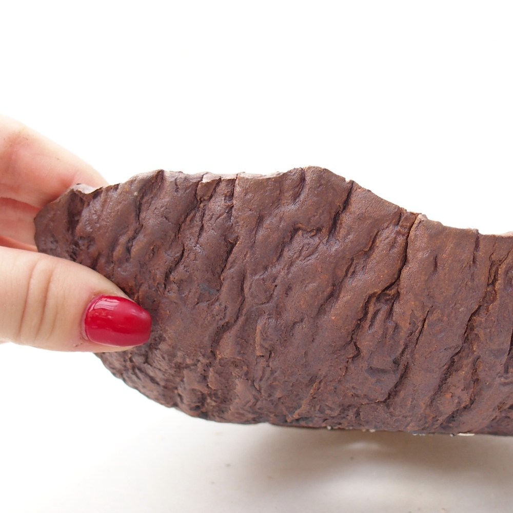 Coquille en céramique 19 x 18 x 5,5 cm , couleur marron