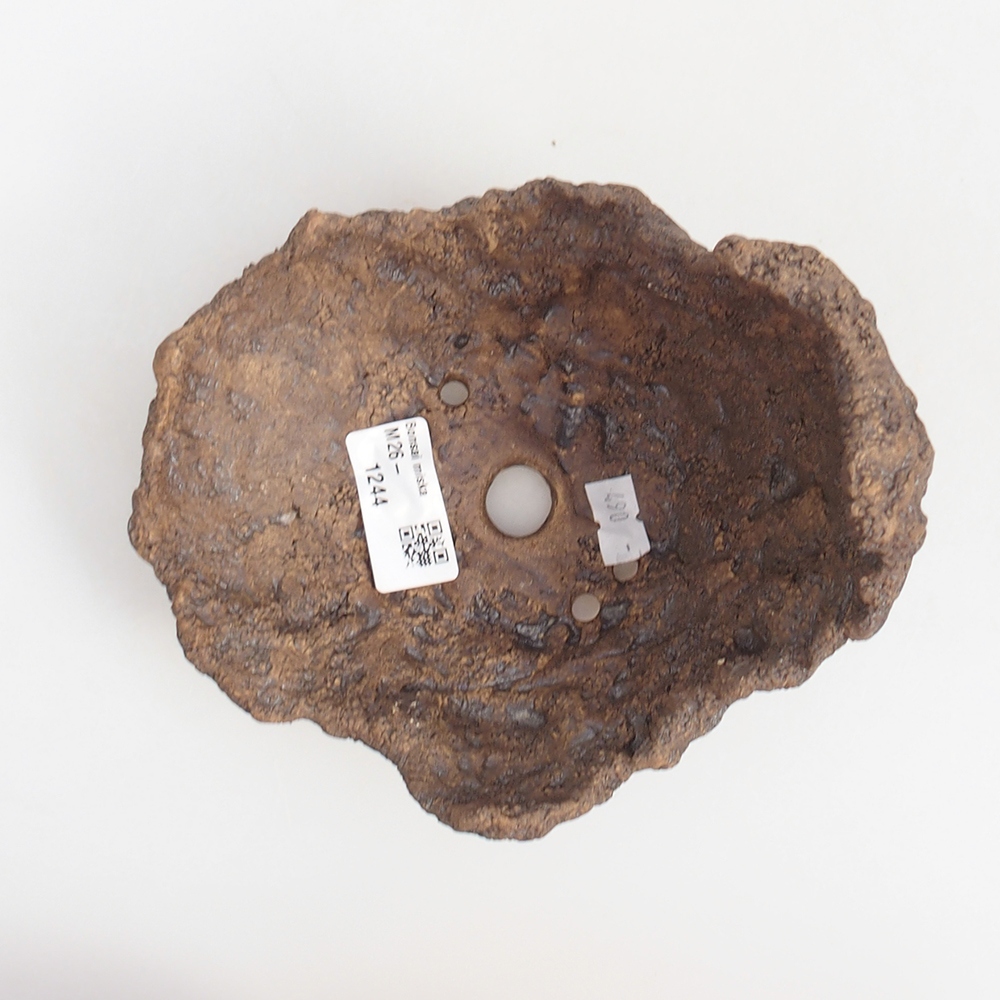 Coquille en céramique 14,5 x 13 x 13 cm , couleur marron