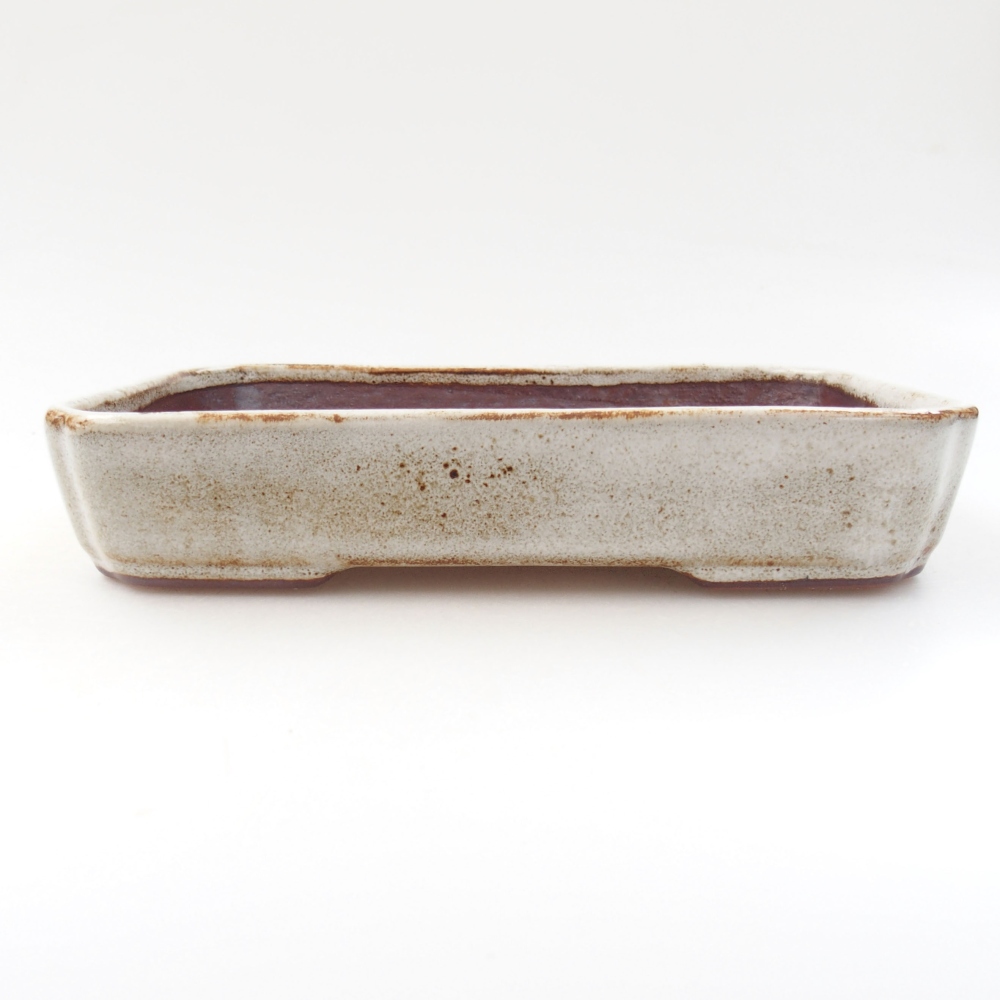 Bol à bonsaï en céramique 22 x 17 x 5 cm, vert