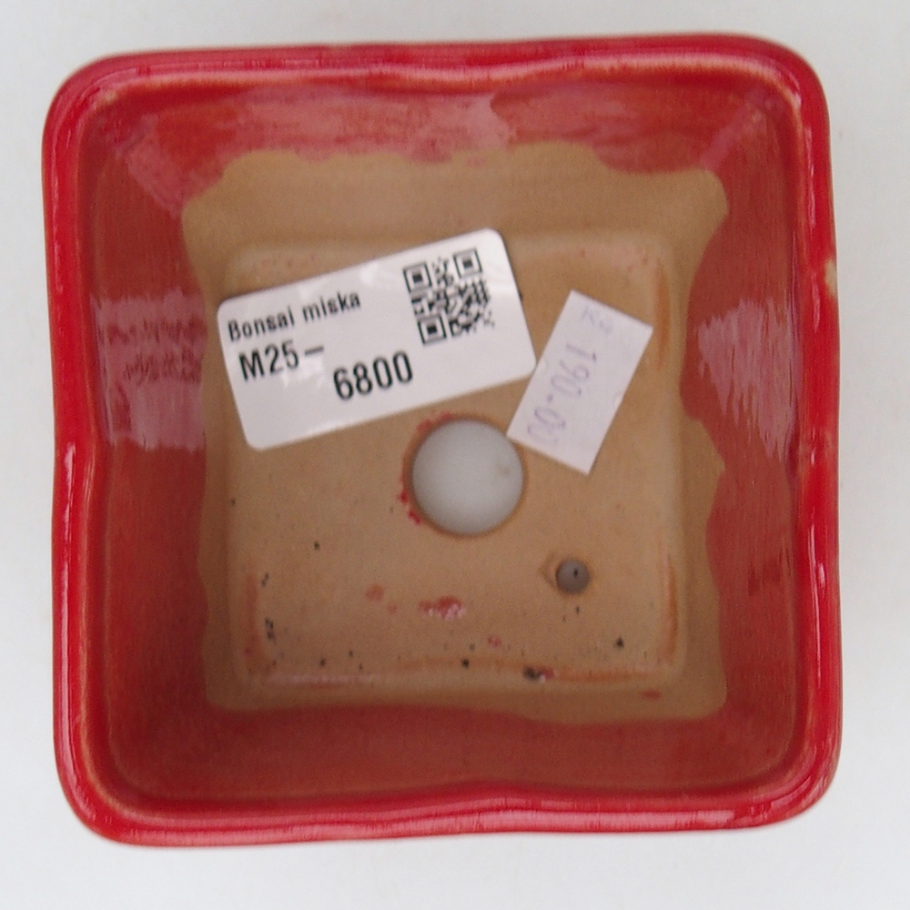 Bol à bonsaï en céramique 8,5 x 8,5 x 6 cm, couleur rouge