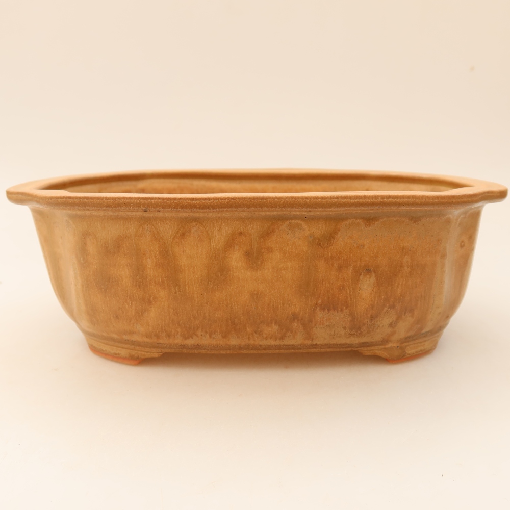 Bol à bonsaï en céramique 23 x 19 x 7 cm, brun
