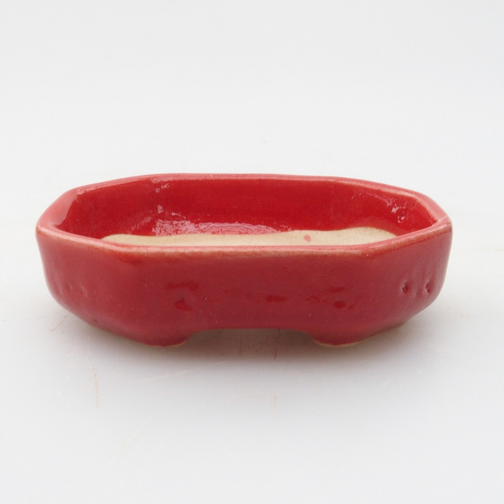 Mini bol bonsaï 5,5 x 4 x 1,5 cm, couleur rouge