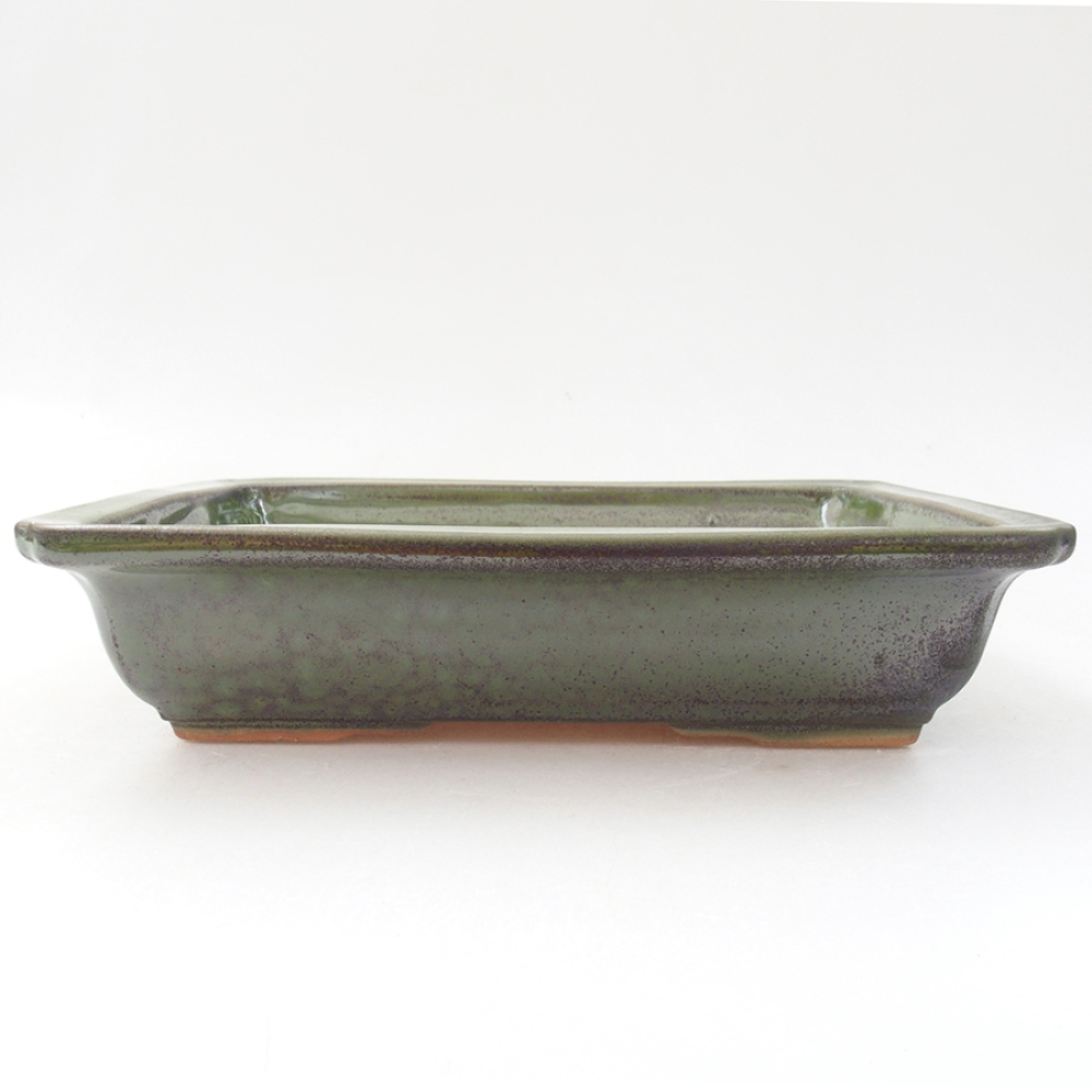 Bol à bonsaï en céramique 17,5 x 13 x 4 cm, vert