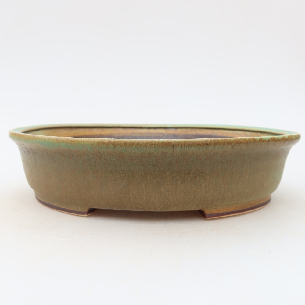 Pot à bonsaï en céramique 21 x 19,5 x 5 cm, couleur verte