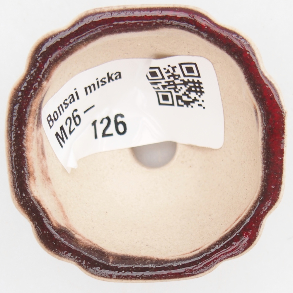 Mini bol bonsaï 4,5 x 4,5 x 2,5 cm, couleur rouge