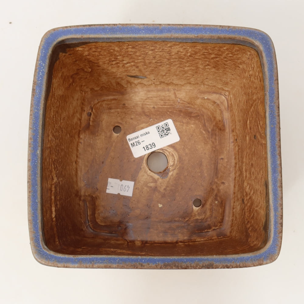 Bol à bonsaï en céramique 16 x 16 x 10 cm, couleur bleu