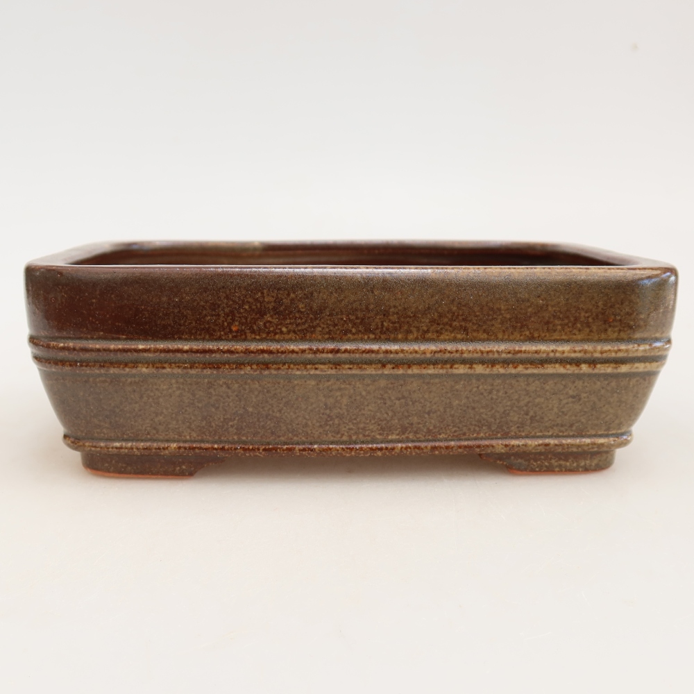 Pot à bonsaï en céramique 17 x 12,5 x 5,5 cm, couleur marron