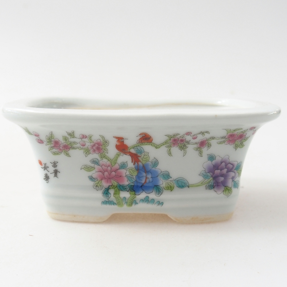 Mini bol bonsaï 10 x 7,5 x 4 cm, couleur blanc