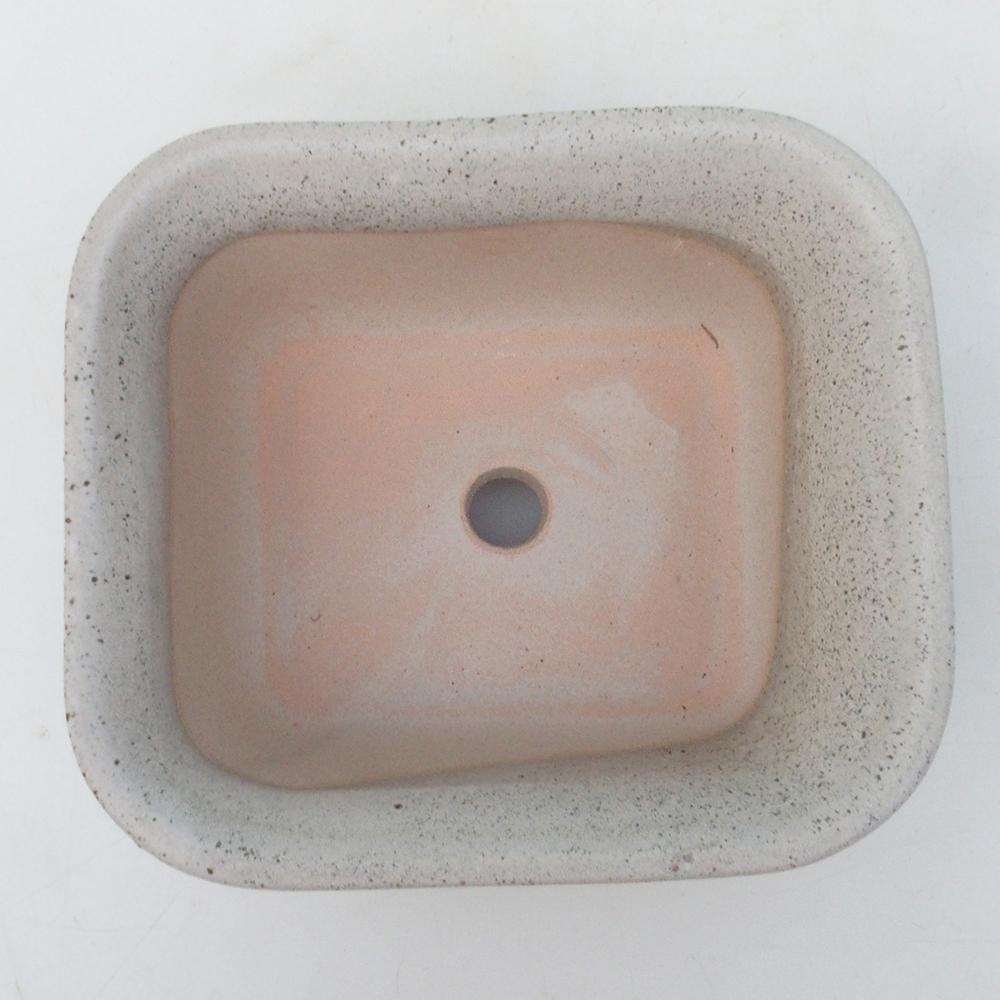 Coupe bonsaï H37 - 14,5 x 13 x 6,5 cm - beige