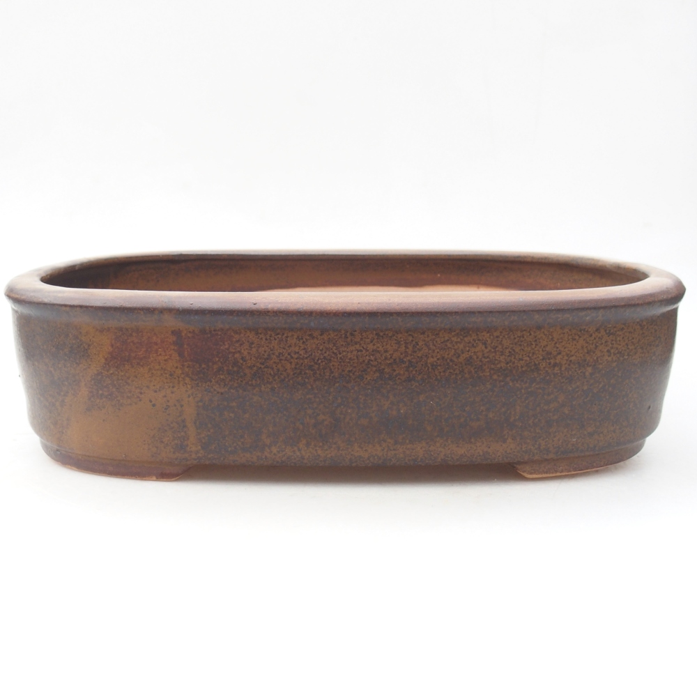 Bol à bonsaï en céramique 32 x 25 x 7,5 cm, brun