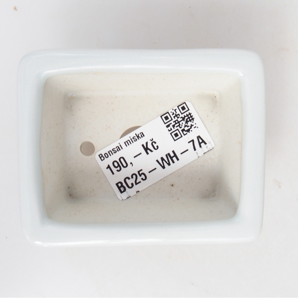Mini bol bonsaï 8 x 6 x 3 cm, blanc