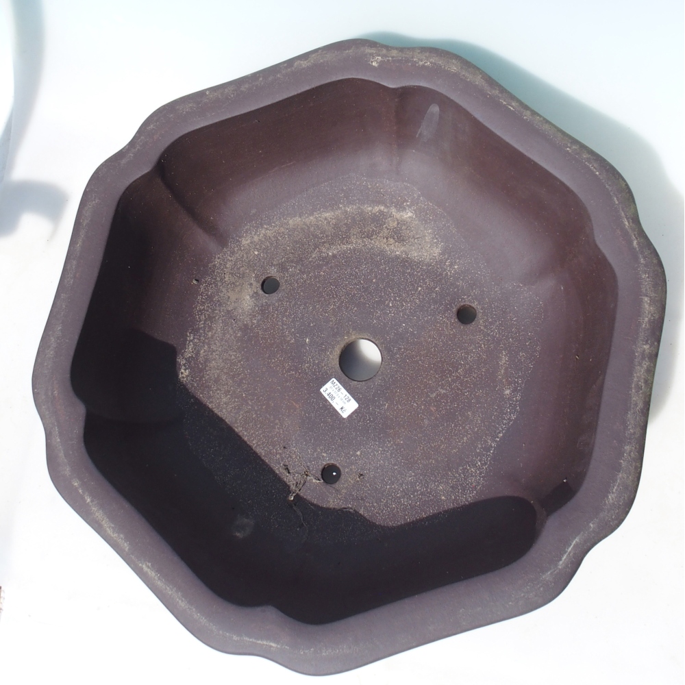 Bol pour bonsaï 61 x 57,5 x 18 cm - brun