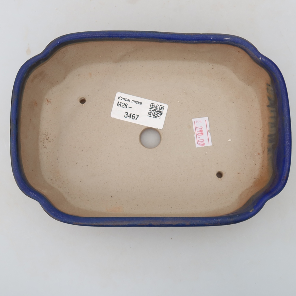 Pot à bonsaï en céramique 18,5 x 13 x 5 cm, couleur bleue