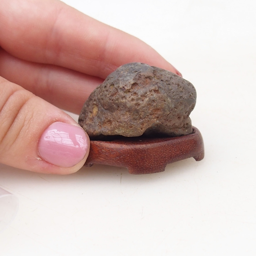 Suiseki - Pierre avec DAI (base en bois)