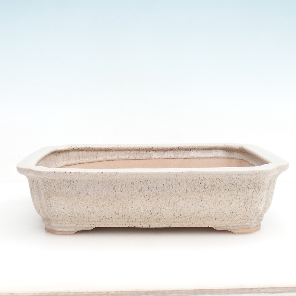 Bol à bonsaï H07 - 30 x 20,5 x 8 cm.