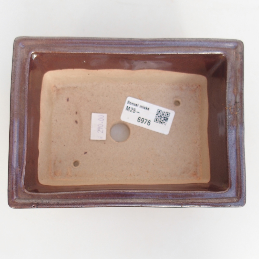 Bol à bonsaï en céramique 16 x 12 x 6 cm, bordeaux