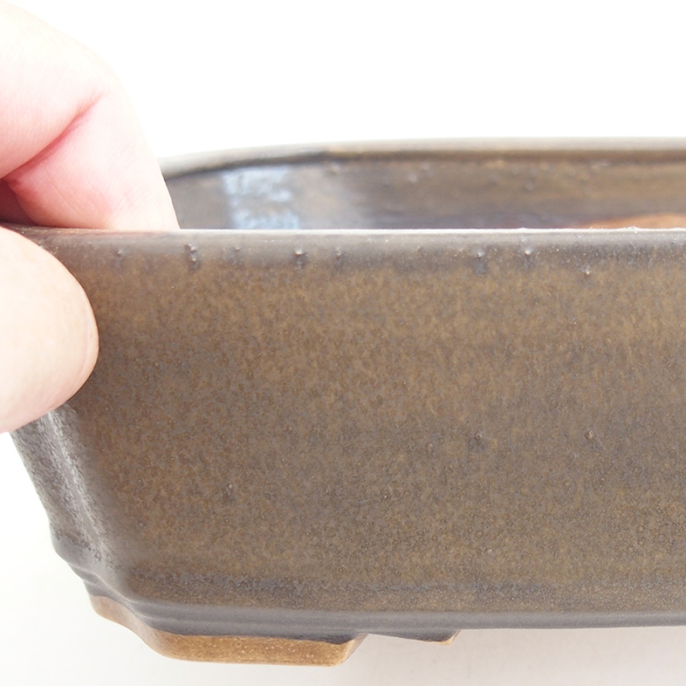 Bol à bonsaï en céramique 21 x 18 x 6 cm, brun