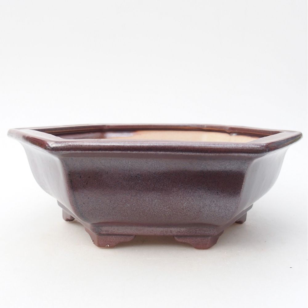 Bol à bonsaï en céramique 24 x 21 x 7,5 cm, couleur bordeaux