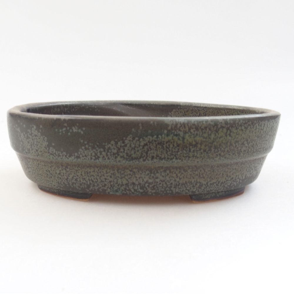 Bol à bonsaï en céramique 22 x 17 x 5 cm, vert