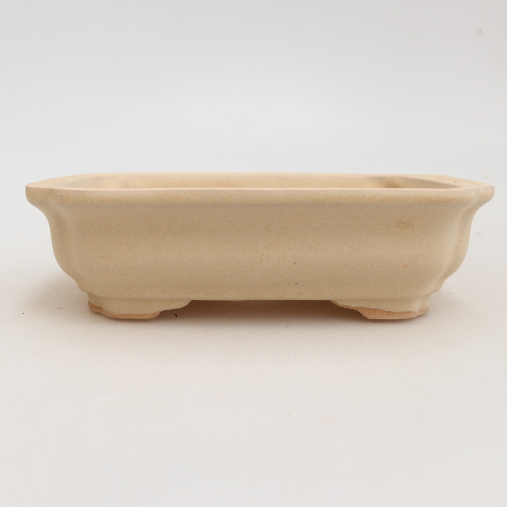 Bol à bonsaï en céramique 14 x 11 x 4 cm, couleur beige