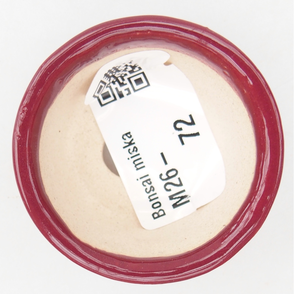 Mini bol bonsaï 4,5 x 4,5 x 2,5 cm, bordeaux
