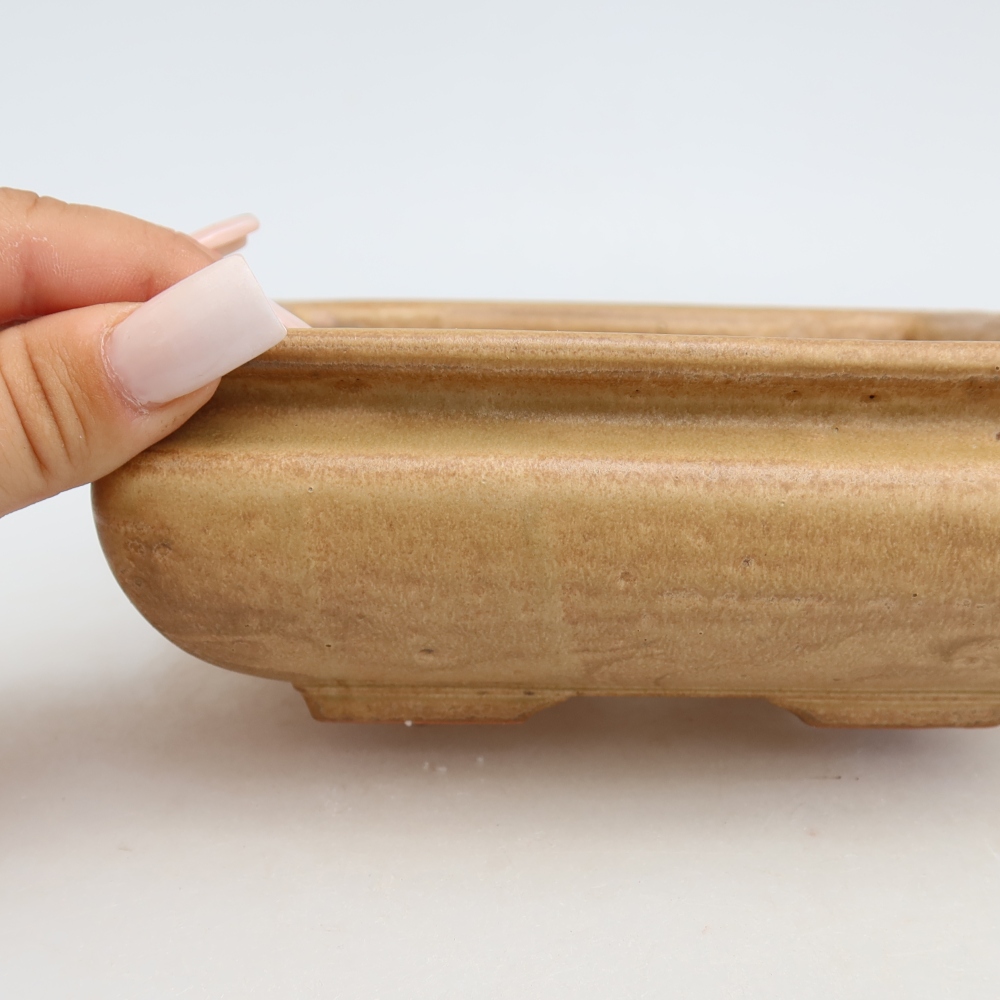 Pot à bonsaï en céramique 15,5 x 15,5 x 6 cm, couleur beige