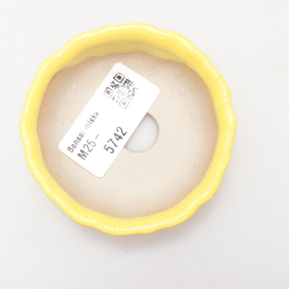 Bol à bonsaï en céramique 7 x 7 x 2 cm, jaune