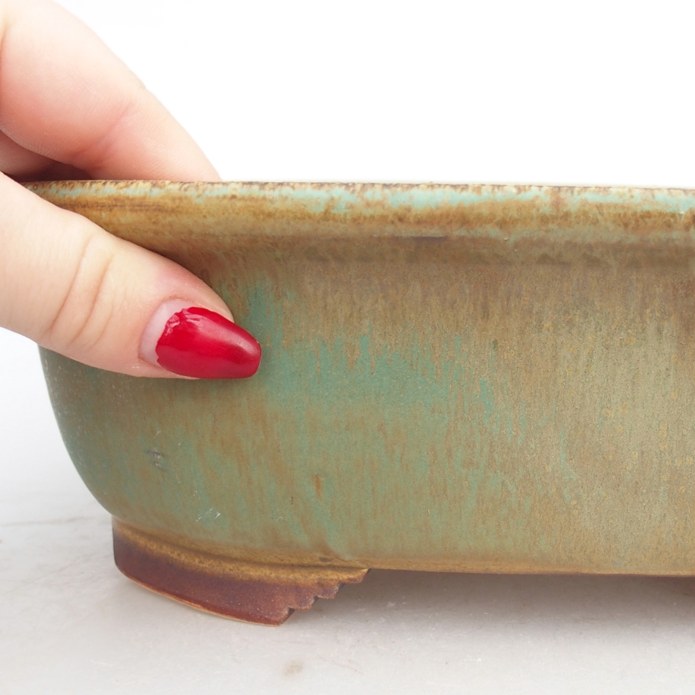 Bol à bonsaï en céramique 25,5 x 21,5 x 8 cm, vert