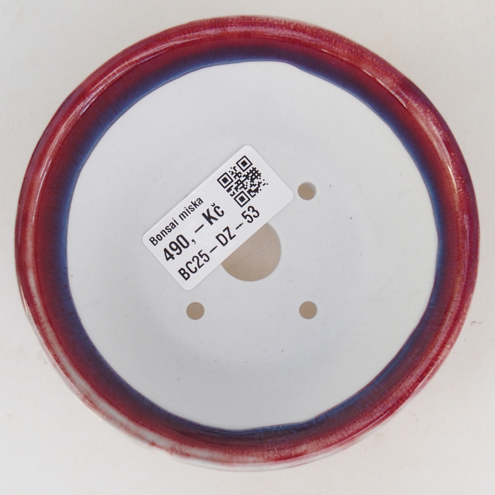 Bol à bonsaï en céramique 10,5 x 10,5 x 5 cm, couleur violet
