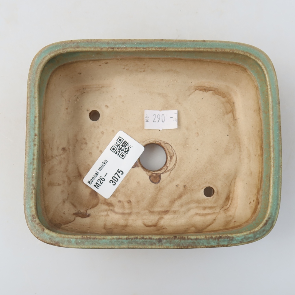 Pot à bonsaï en céramique 14 x 11,5 x 4,5 cm, couleur verte