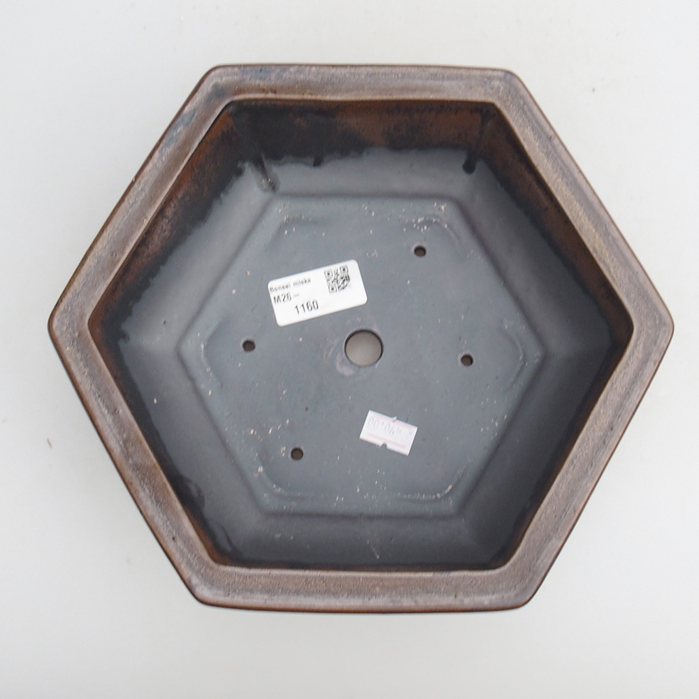 Bol à bonsaï en céramique 23 x 21 x 7,5 cm, brun