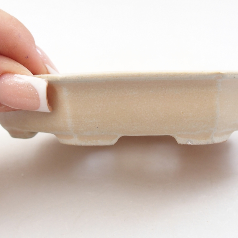 Bol à bonsaï en céramique 11,5 x 11,5 x 2 cm, couleur beige